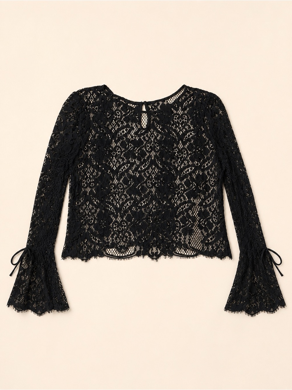 iris Black Lace Long-Sleeve Crop Blouse